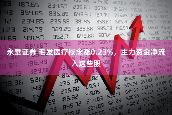 永崋证券 毛发医疗概念涨0.23%，主力资金净流入这些股